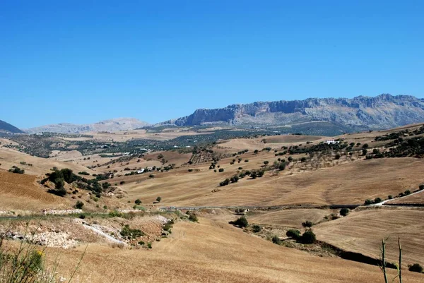 Campos de trigo com montanhas El Torcal na parte traseira, perto de Almogia, Espanha . — Fotografia de Stock