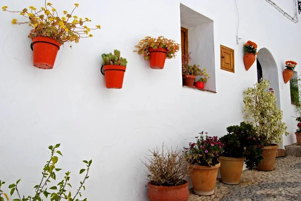 Растительные горшки на стене дома, Фригилиана, Испания . — стоковое фото