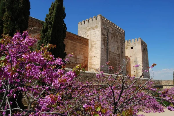 Sarnıç Mahkemesi, ön planda pembe ağaç çiçeği ile kalenin doğu tarafı, Alhambra Sarayı, Granada, Ispanya. — Stok fotoğraf