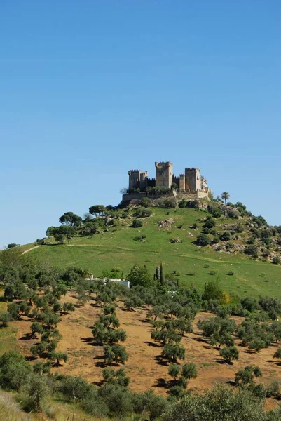 Blick auf die Burg auf dem Hügel, almodovar del rio, Spanien. — Stockfoto