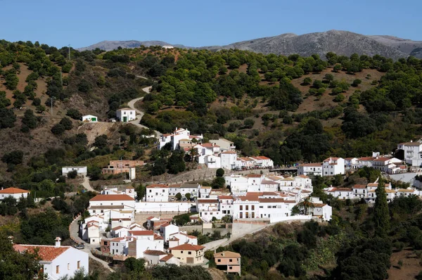 Pueblo rodeado de árboles, Juzcar, España . —  Fotos de Stock