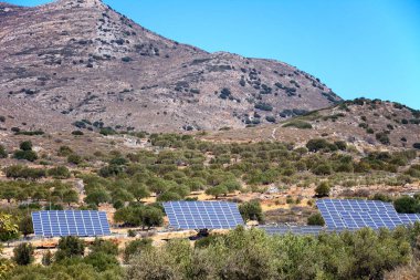 Yunan kırsal kesimde zeytinlik ön plan, çevre Elounda, Girit'te güneş panelleri ile yükseltilmiş görünümünü.