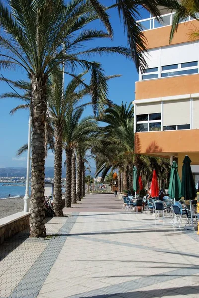 Vista a lo largo del paseo bordeado de palmeras con el mar y la playa a la izquierda, Lagos, España . — Foto de Stock