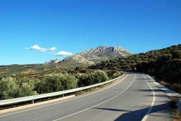 Silnice vedoucí přes olivové háje k horám, El Burgo, Španělsko. — Stock fotografie