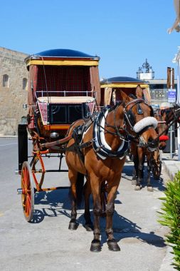 Genel kayıt defteri, Valletta, Malta tarafından çizilmiş at arabası.