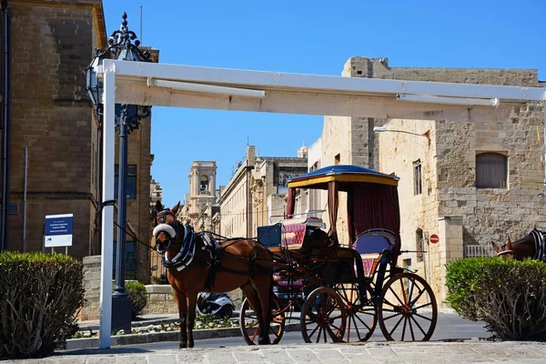 Ló szállítására rajzolta az állami nyilvántartó épület, Valletta, Málta. — Stock Fotó