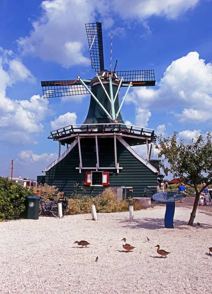 ザーンセスカンス、オランダ、フォア グラウンドでアヒルの川ザーンに沿って風車. — ストック写真