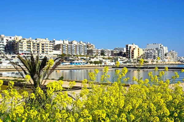 Utsikt över saltdammar med byggnader på baksidan i Salina Bay, Buġibba, Malta. — Stockfoto
