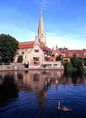 Ön planda, Abingdon, İngiltere'de genç bir kuğu ile St Helens Kilisesi doğru Thames Nehri boyunca görüntülemek.