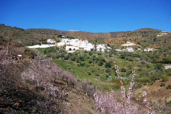 Vista general del pueblo encalado, Daimalos, España . —  Fotos de Stock