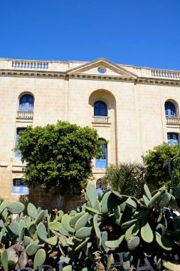 Ön planda, Vittoriosa, Malta kaktüs inciri ile Malta maritime Müzesi tarafının görünümü.