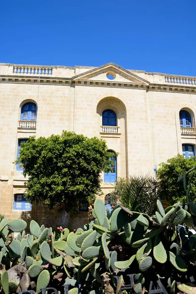 Kilátás a oldal a máltai Tengerészeti Múzeum fügekaktusz kaktusz az előtérben, Vittoriosa, Málta. — Stock Fotó