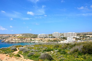 Doğru otel, Golden Bay, Malta ve Akdeniz deniz manzaralı güzel bahar kır çiçekleri.