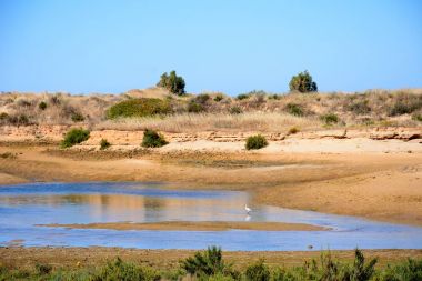 Görünüm heron duran gölde bir doğa rezerv, Alvor, Algarve, Portekiz.