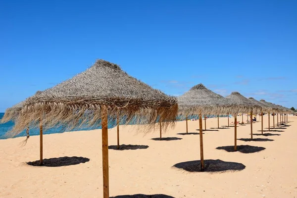 Righe di ombrelloni rafia sulla spiaggia con l'Oceano Atlantico alle spalle, Vilamoura, Algarve, Portogallo . — Foto Stock