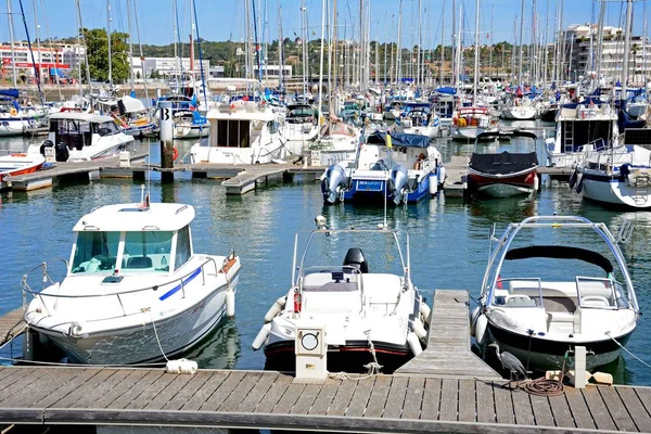 Vista de barcos y yates amarrados en el puerto deportivo de Lagos con una garza en el embarcadero en primer plano, Lagos, Portugal . — Foto de Stock