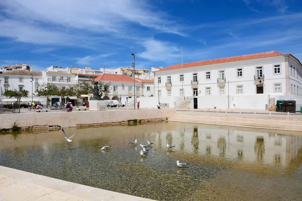 Möwen in einem Pool auf dem Säuglingsplatz mit einer Statue des infante dom henrique und Stadtgebäuden im Hintergrund, lagos, portugal. — Stockfoto