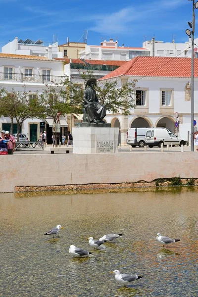 Måsar i en pool i Infant torg med en staty av Infante Dom Henrique och stan byggnader till baksidan, Lagos, Portugal. — Stockfoto