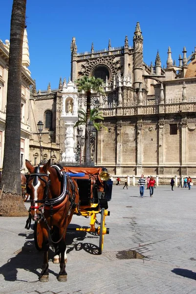 Vista de la Catedral con un carro tirado por caballos en primer plano, Sevilla, España . —  Fotos de Stock