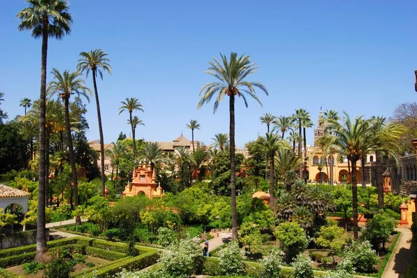 Verhoogd uitzicht op het kasteel van de koningen tuin met hoge palmbomen, Sevilla, Spanje. — Stockfoto