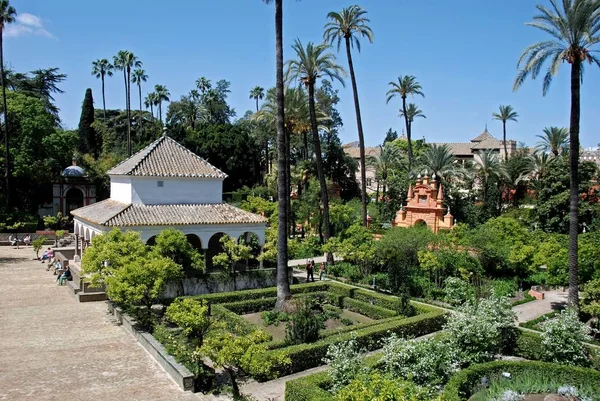 Verhoogd uitzicht op het kasteel van de koningen tuin met hoge palmbomen, Sevilla, Spanje. — Stockfoto