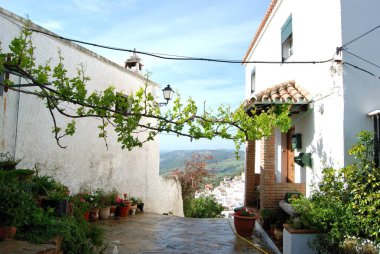 Village house with views towards the town, Casares, Spain. clipart