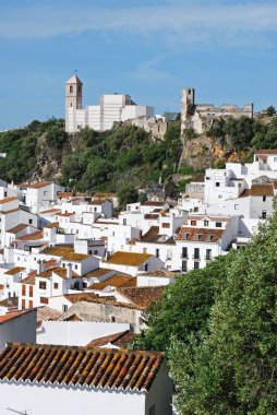 Geleneksel beyaz köy Casares, İspanya 'nın manzarası yükseldi.