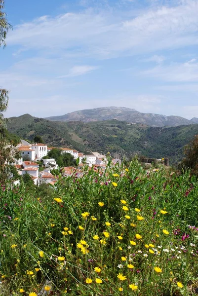 View over village rooftops and castle towards the mountains with spring flowers in the foreground, Benadalid, Spain. — Stock Photo, Image
