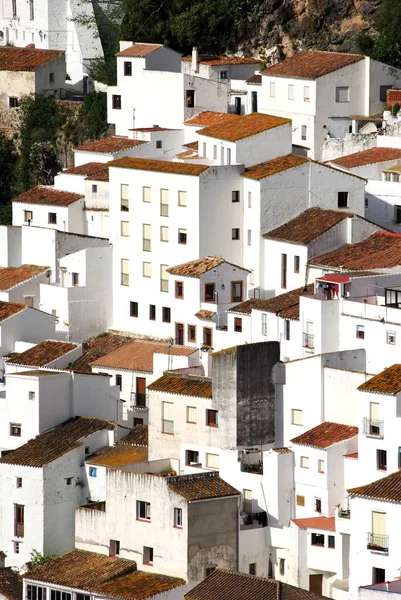 Vista elevata del tradizionale villaggio bianco, Casares, Spagna . — Foto Stock