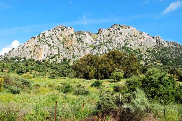 Vista a través de un prado español hacia las montañas, Casares, España . — Foto de Stock