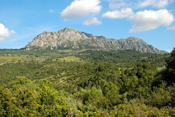 Elevated view of the countryside in the Springtime with views towards the mountains, Sierra Bermeja near Casares, Spain. — Stock Photo, Image