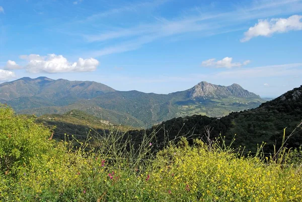 Elevated view of the countryside in the Springtime with views towards the mountains, Sierra Bermeja between Gaucin and Casares, Spain. — Stock Photo, Image