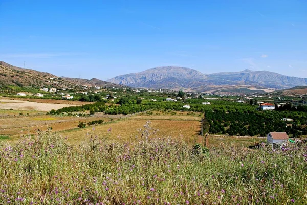 Farmland and houses in the valley with views towards the mountains, Alora, Spain. — Stock Photo, Image