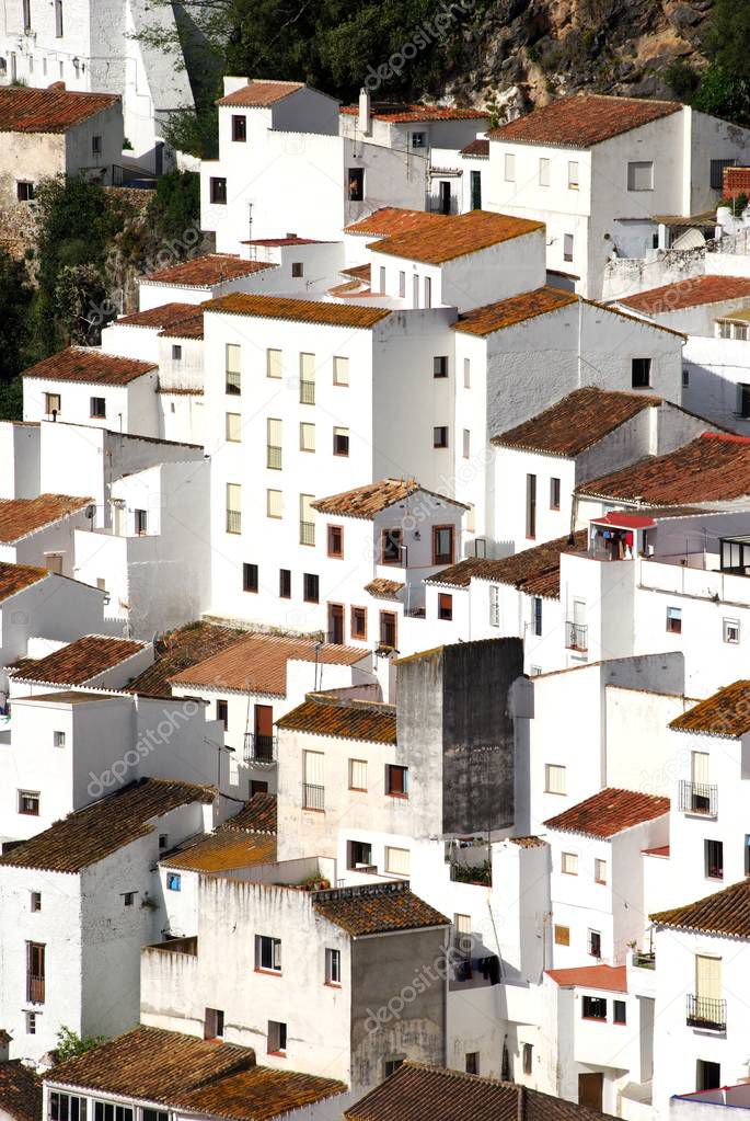 Elevated view of the traditional white village, Casares, Spain.