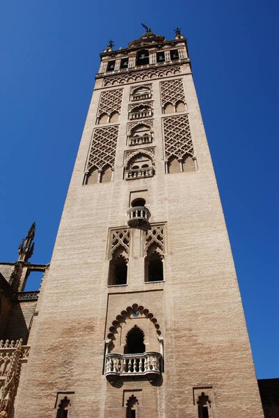 View of the Giralda tower, Seville, Seville Province, Andalucia, Spain, Western Europe,