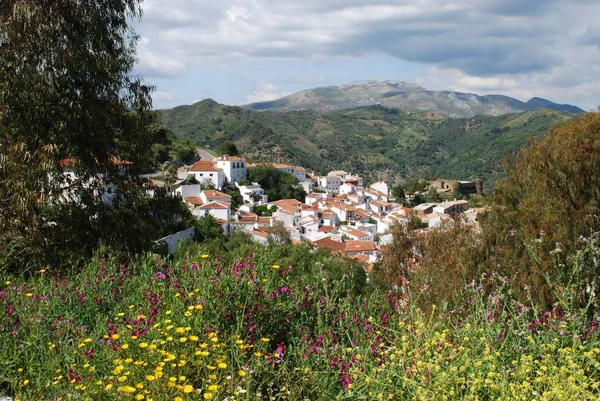 Kilátás a fehér város tavaszi virágok előtérben és a hegyek a hátsó, Benadalid, Spanyolország. — Stock Fotó