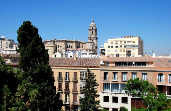 İspanya 'daki Malaga Katedrali' ne doğru şehir dairelerine bakın.. — Stok fotoğraf