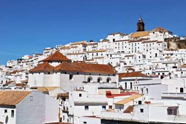 Şehir ve evlerin görünümü, Alcala de los Grazules, İspanya.