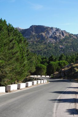 Sierra de Grazalema, İspanya 'nın dağları ve kırsal kesimlerinde dolambaçlı yol.