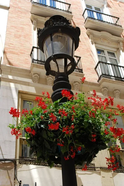 Wrought iron streetlight with pretty geraniums in the city centre, Malaga, Spain. — 스톡 사진