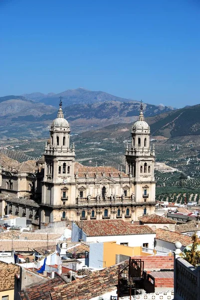Widok na katedrę z gajami oliwnymi z tyłu, Jaen, Hiszpania. — Zdjęcie stockowe