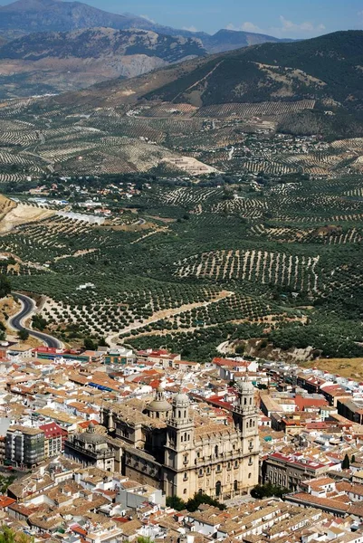 Vista sobre os telhados da cidade com a Catedral no centro e olivais para trás, Jaen, Espanha . — Fotografia de Stock
