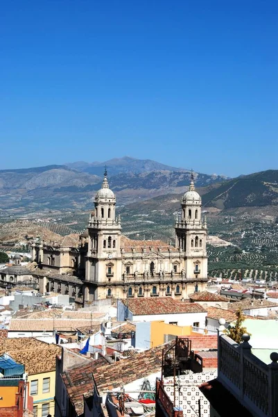 Arkasında zeytin korulukları olan katedralin yükseltilmiş görüntüsü, Jaen, İspanya. — Stok fotoğraf
