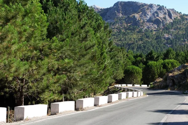 Vinoucí se cesta přes hory a krajinu Sierra de Grazalema, Španělsko. — Stock fotografie