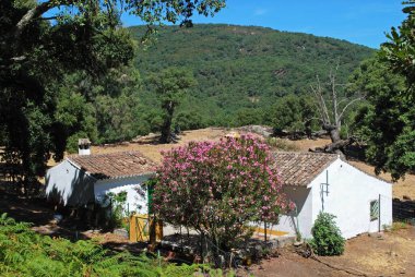 Ormandaki çiftlik evi, Sierra de los Alcornocales, İspanya.