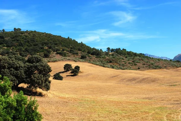View across the dry landscape towards mountains, Algodonales, Spain. — Stock Photo, Image