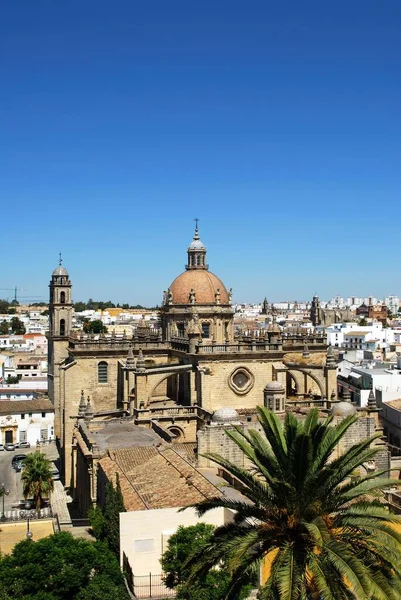 Vista Elevada Catedral San Salvador Edifícios Cidade Jerez Frontera Província — Fotografia de Stock