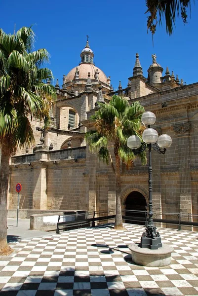 Vista Catedral San Salvador Con Una Farola Tradicional Española Primer —  Fotos de Stock