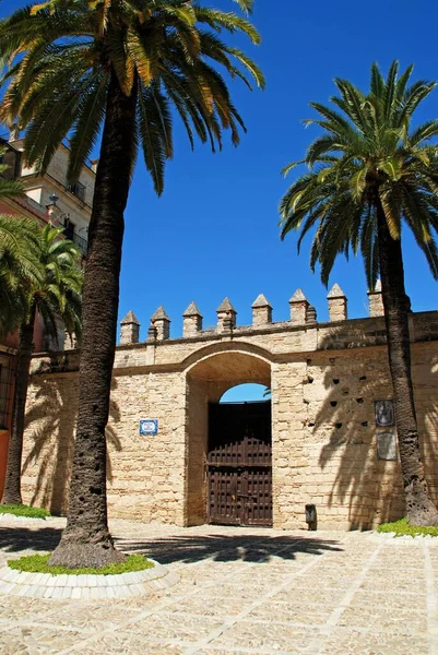 城の中庭 パティオ アルマス Jerezデ フロンテーラ カディス州 アンダルシア スペイン — ストック写真