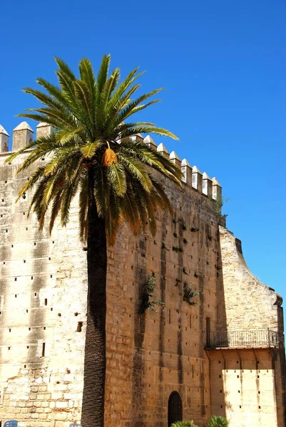 Şato Kulesi Torre Homenaje Jerez Frontera Cadiz Ili Endülüs Spanya — Stok fotoğraf